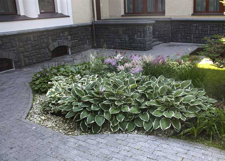 Как подготовить почву для посадки на участке после древесины