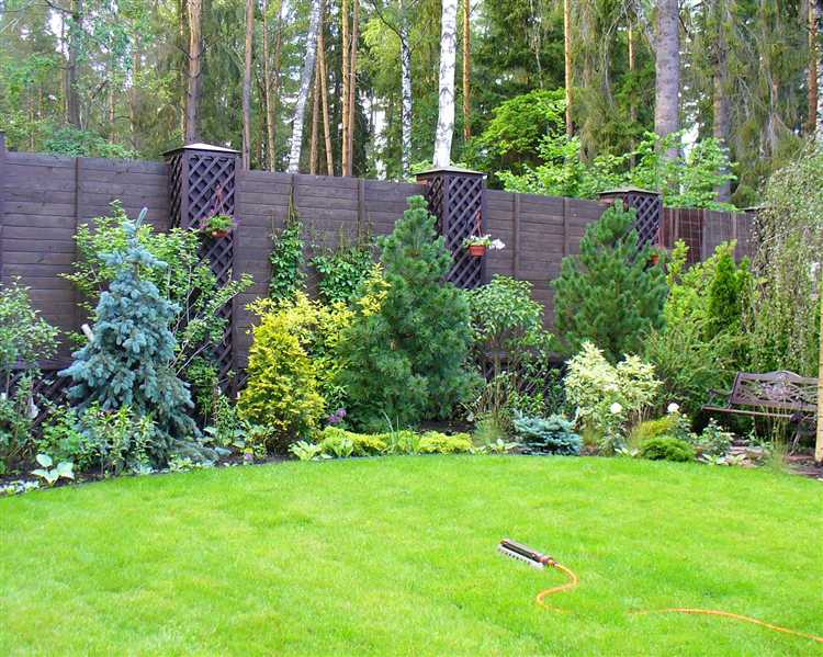 Низкорослые цветущие растения для бордюров вдоль дорожек