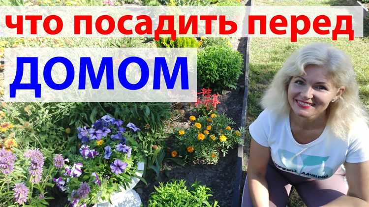 Создание декоративной композиции из солнцелюбивых растений