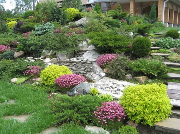 Что посадить перед домом на солнечной стороне