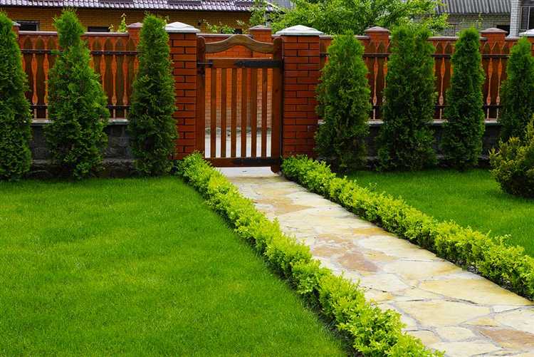 Как сочетать декоративные и функциональные растения у забора