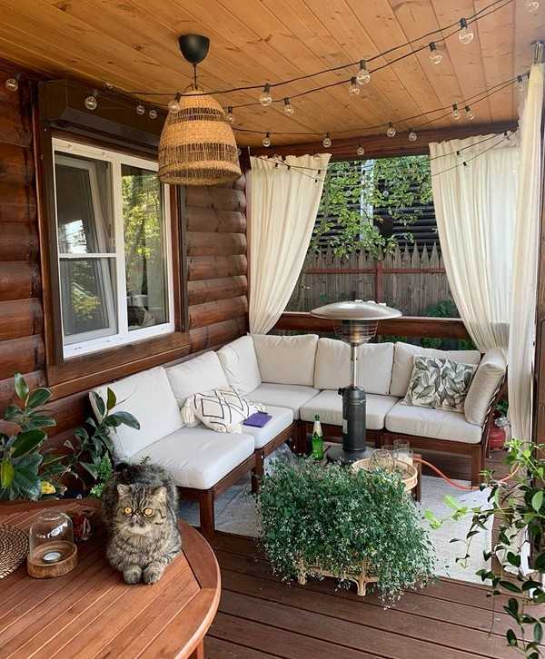 Чем закрыть забор с северной стороны, где мало света