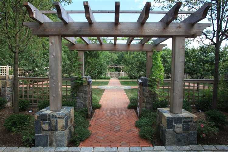 Цветы с приятным ароматом для атмосферы уюта