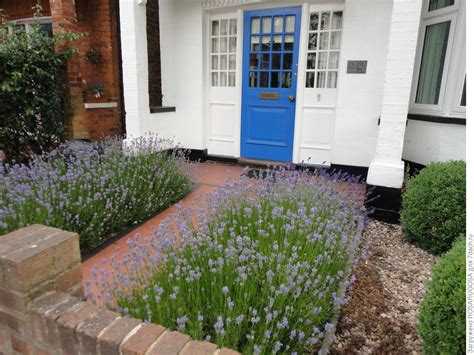 Что посадить рядом с хостами вдоль дорожки