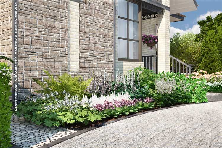 Как выбрать теневыносливые растения для северной стороны