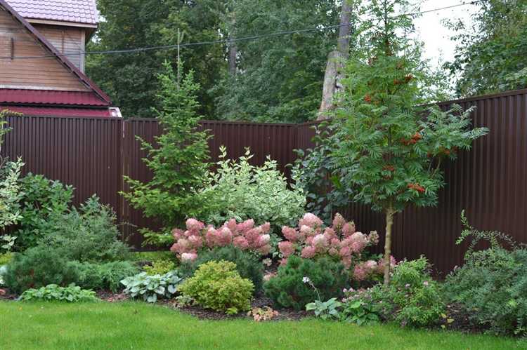 Как выбрать растения для северной стороны участка