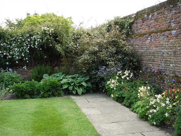 Многолетники, сохраняющие декоративность без прямого солнца