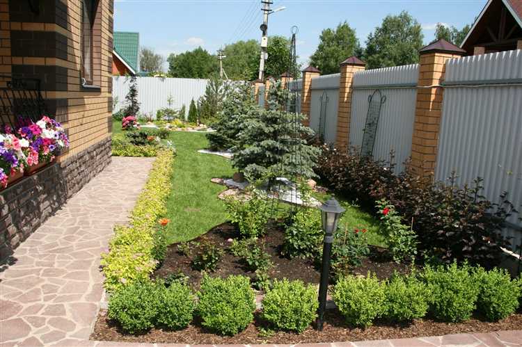 Цветущие многолетники, подходящие для оформления фасада дачного дома