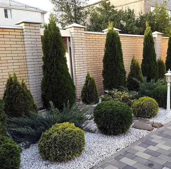 Выбор неприхоточных кустарников для тенистых участков вдоль дома