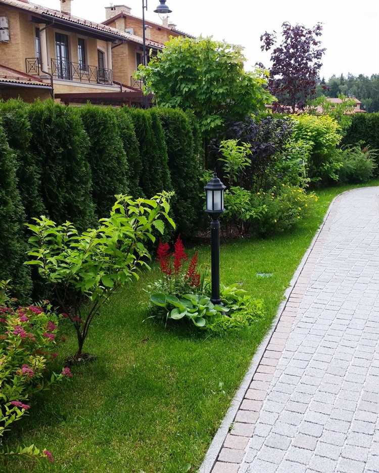 Растения-барьеры для защиты фундамента от влаги и ветра