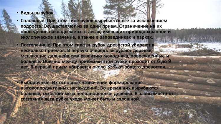 Побеги, поражённые карантинными организмами (графиоз вяза, бактериальный ожог косточковых), срезаются и немедленно уничтожаются с последующей дезинфекцией инструмента. Оставление инфицированной поросли в древесном остатке служит очагом заражения соседних деревьев на протяжении всего вегетационного периода.