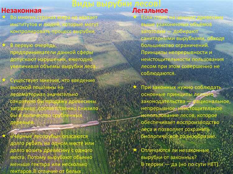 Что считается порослью и подлежит вырубке Что считается порослью и подлежит вырубке