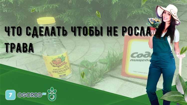 Что сделать чтобы не росла трава