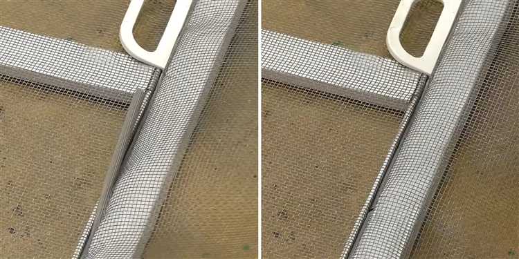 Как обучить птиц избегать москитных сеток с помощью отпугивателей