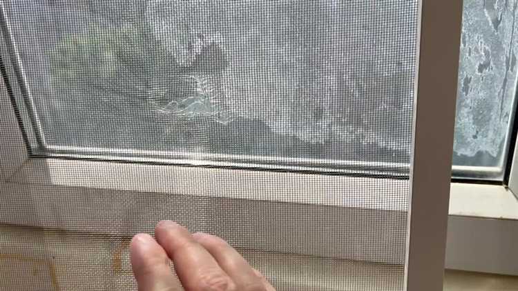 Как установить защиту от птиц в местах, где часто встречаются пернатые