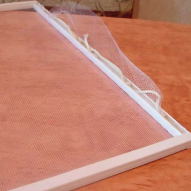 Что сделать чтобы птицы не клевали москитную сетку Что сделать чтобы птицы не клевали москитную сетку