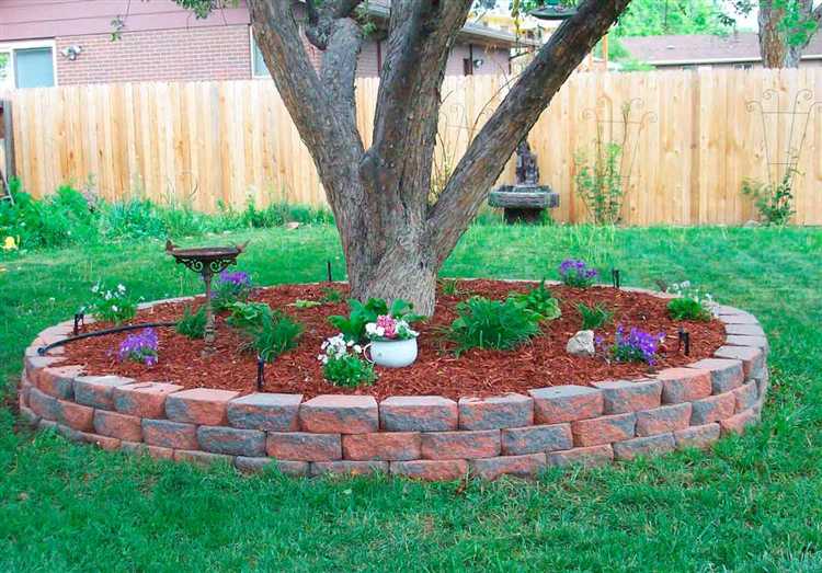 Выбор плодовых деревьев для стабильного урожая