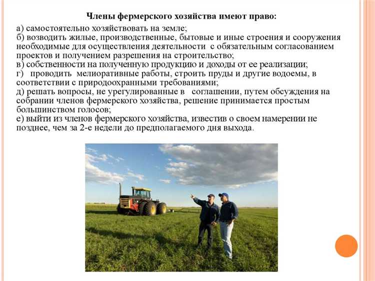 Регистрация и правовой статус КФХ: пошаговая инструкция