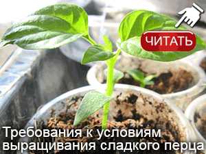 Что такое кислая почва как определить