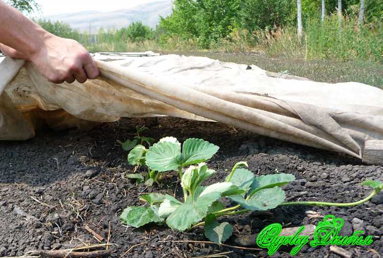 Проверка состояния наката при длительной эксплуатации землянки