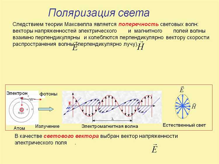 Как определить, поляризованы ли очки