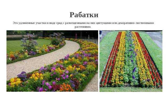 Как ухаживать за рабаткой в течение сезона