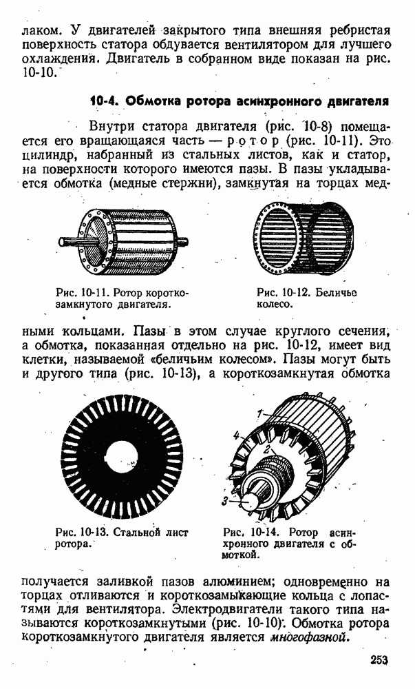 Конструкция короткозамкнутого ротора: как устроен «беличий бег»