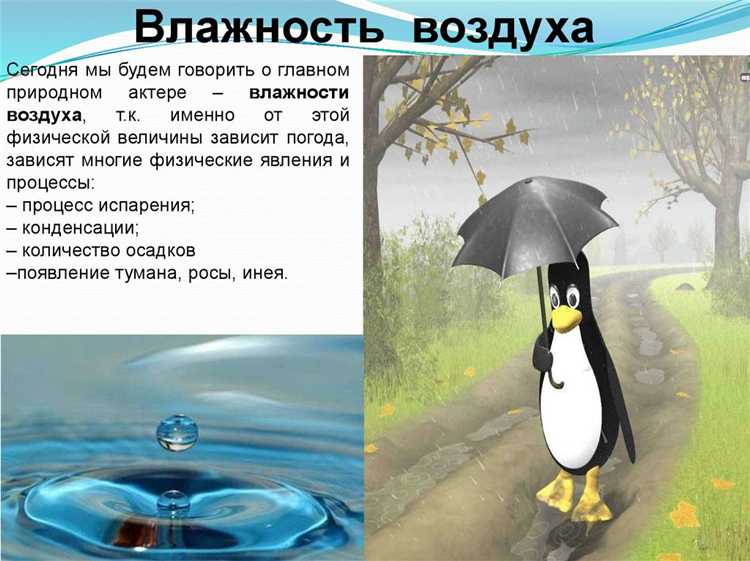 Как сезонные изменения климата отражаются на влажности воздуха