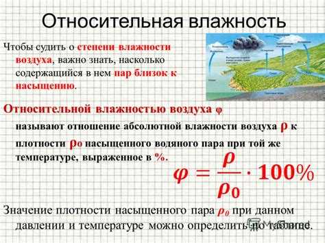 Как повышенная или пониженная влажность сказывается на здоровье человека