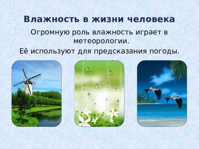 Что такое влажность воздуха от чего она зависит