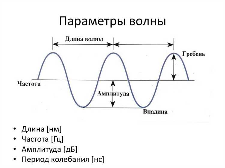 Как различать продольные и поперечные волны на практике