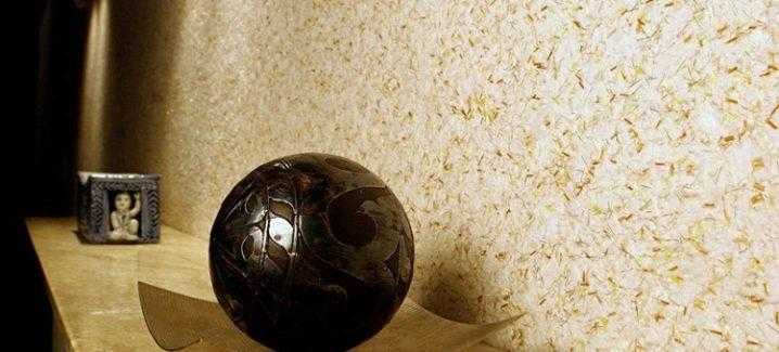 Жидкие обои для стен: характеристики, применение, преимущества