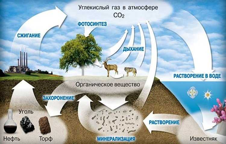 Ошибки и мифы о тяжести кислорода и углекислого газа