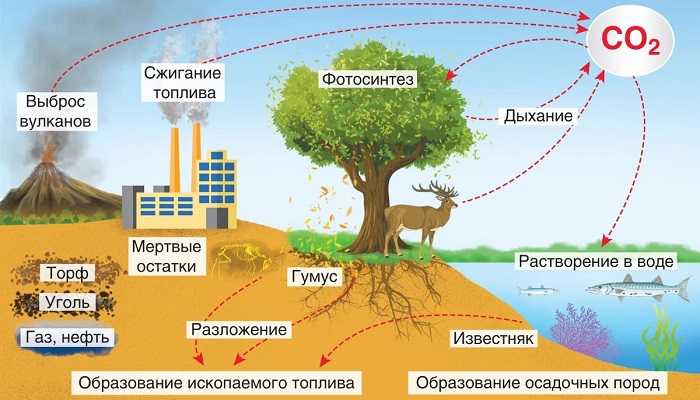 Как различия в плотности влияют на поведение газов в атмосфере