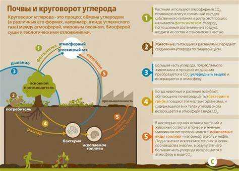 Что тяжелее воздух или углекислый газ