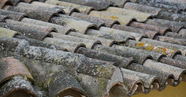 Почему шифер не самый лучший выбор для защиты грядок