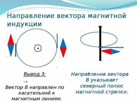 Изменчивость вектора индукции в зависимости от времени суток и сезона