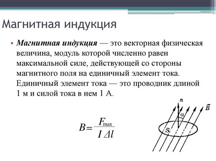 Что характеризует вектор индукции магнитного поля земли