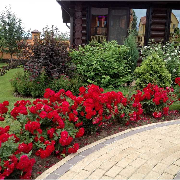 Деревья на участке как рассадить красиво