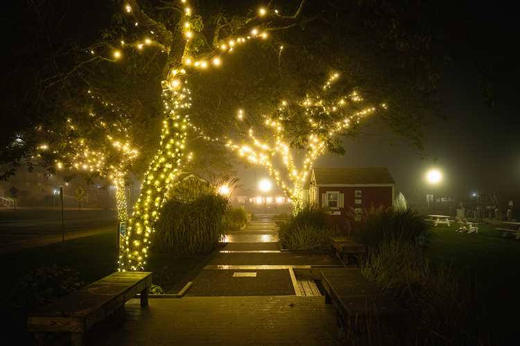 Как правильно составить заявление на обрезку дерева