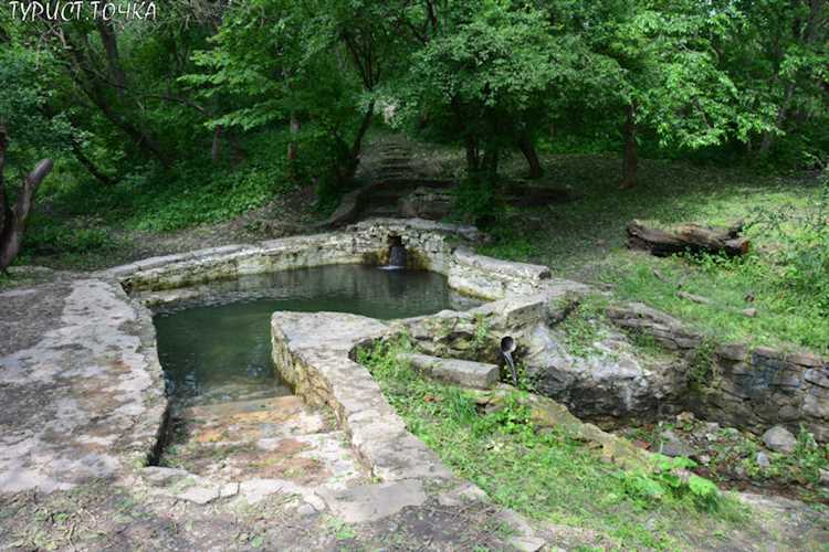 Родники в лесных зонах: как искать и отличать от других источников воды