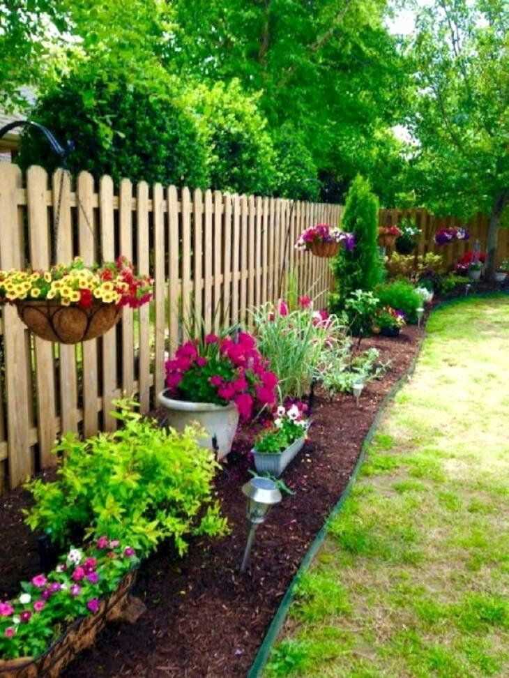 Какие растения лучше всего сажать в тени забора