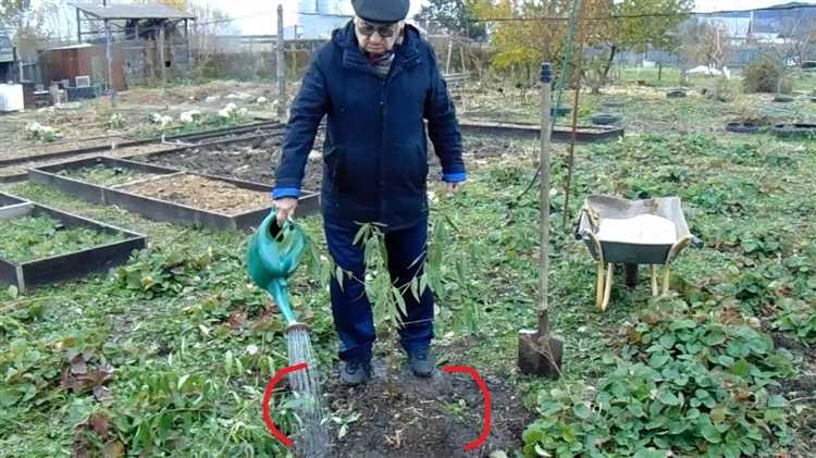 Как организовать полив при весеннем дефиците влаги