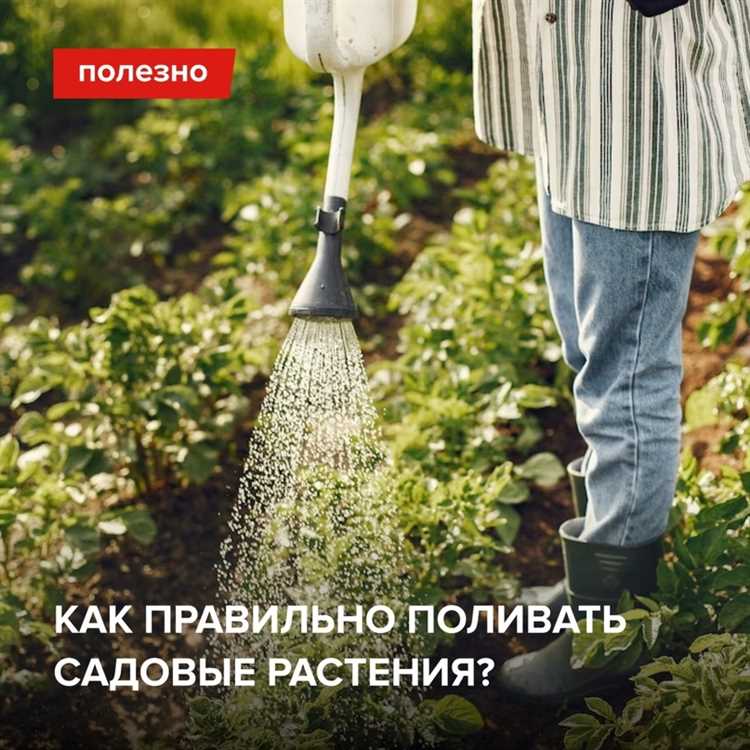 Учет типа почвы при планировании весеннего полива