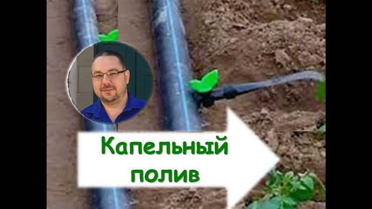Как влияет тип почвы в теплице на интервал между поливами