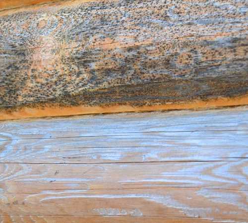 Работа с труднодоступными участками и декоративными элементами