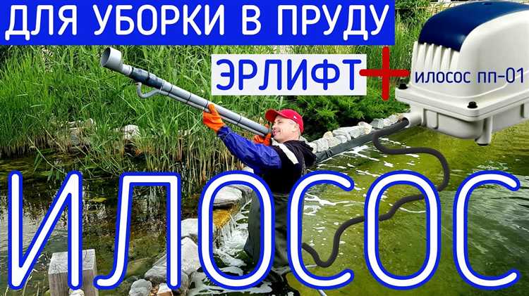 Утилизация и повторное использование ила на участке