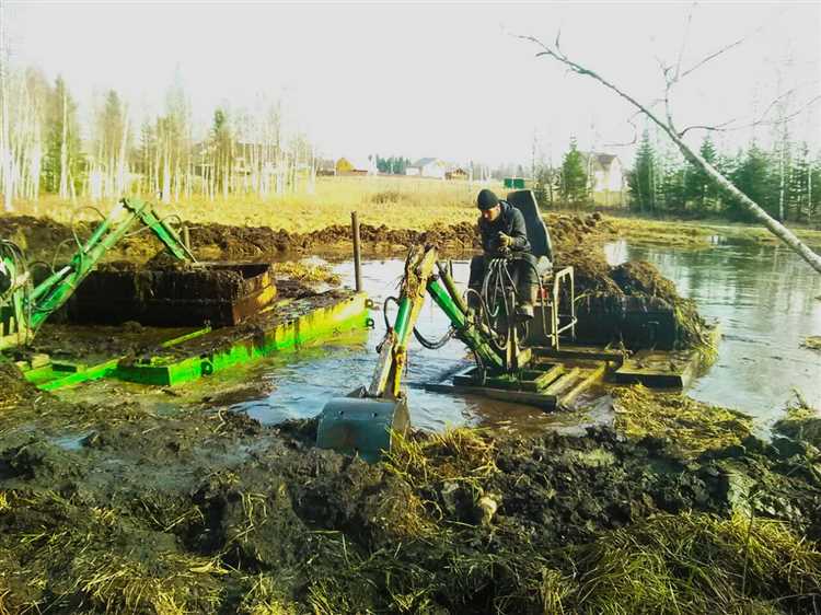 Выбор подходящего времени года для очистки пруда