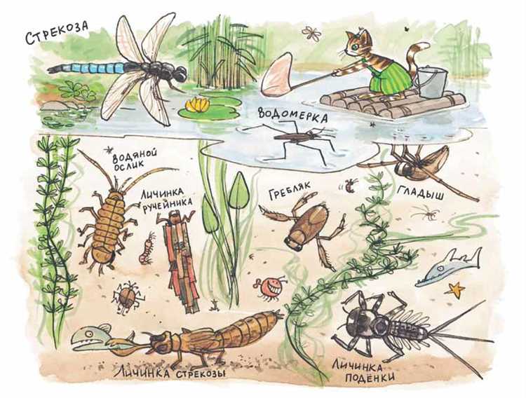Обработка краёв сетки для прочности