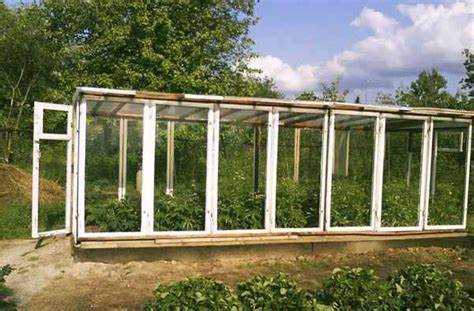Выбор старых оконных рам для теплицы: на что обратить внимание?
